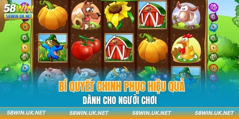 Bí quyết chinh phục hiệu quả dành cho người chơi