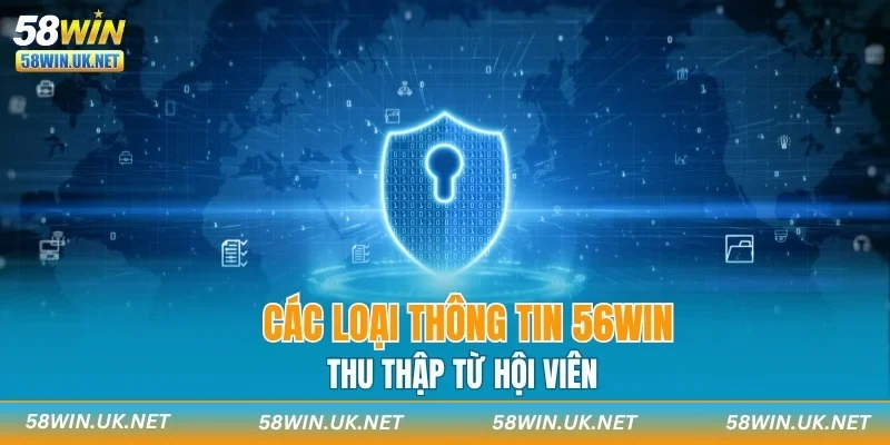 Các loại thông tin 58WIN thu thập từ hội viên