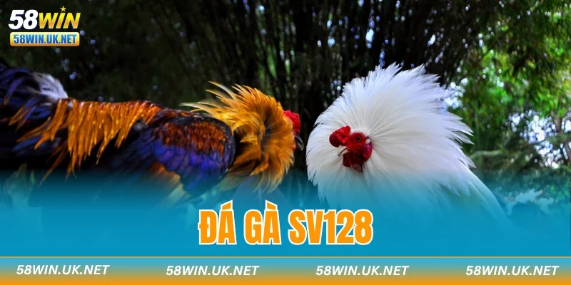 Đá Gà SV128