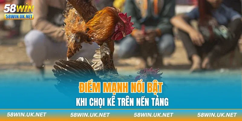 Điểm mạnh nổi bật khi chọi kê trên nền tảng