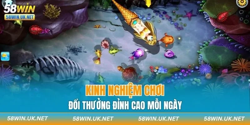 Kinh nghiệm chơi, đổi thưởng đỉnh cao mỗi ngày