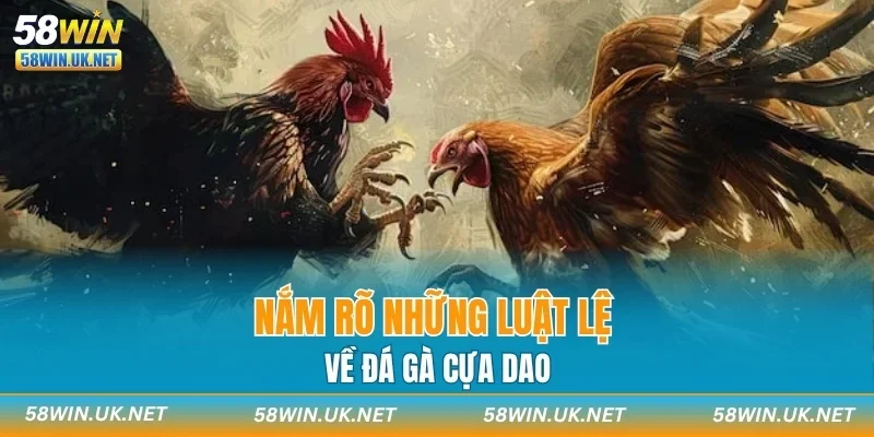 Nắm rõ những luật lệ về đá gà cựa dao