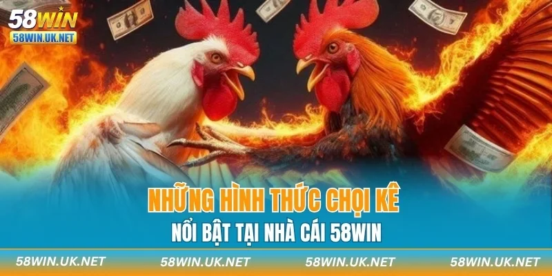 Những hình thức chọi kê nổi bật tại nhà cái 58WIN