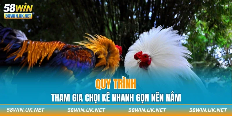 Quy trình tham gia chọi kê nhanh gọn nên nắm