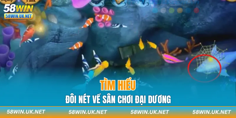 Tìm hiểu đôi nét về sân chơi đại dương