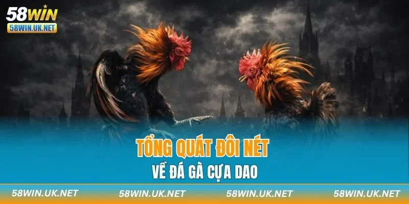 Tổng quát đôi nét về đá gà cựa dao